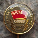 Meeting of Young Energy Generators or Conservationists SSM Socialist Youth Group