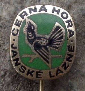 Cerna Hora Black Mountains Czechoslovakia Capercaille Grouse Hunting Pin