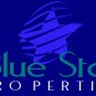 Custom Logo Design