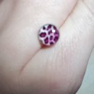 **Hot pink Leopard Print Piercing 14G **Hot pink Leopard Print Piercing 14G