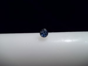 Blue  Leopard Print Tongue Piercing 14G