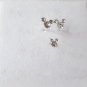 CLEAR Crystal Mouse Head Nose Stud and Matching Earring Set