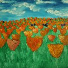 California Poppy