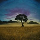 silhouette skies