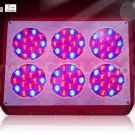 Apollo 6 grow led lights