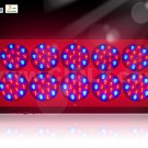 Apollo 10 grow led lighting