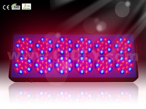 indoor grow led Apollo 12 lighting