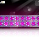 grow led system Apollo 16