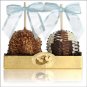 Chocolate Dipped Apple Duet