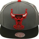 Chicago Bulls Logo
