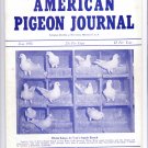 American Pigeon Journal Magazine June 1956,$10.00 Free Shipping to the USA,bird