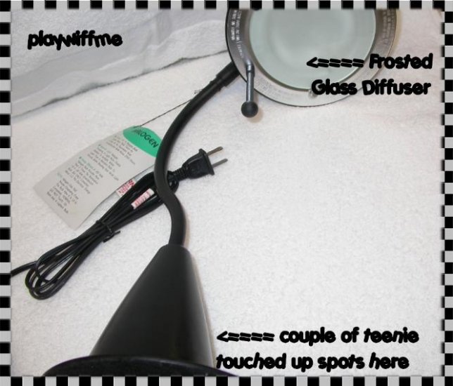 Contemporary 100 Watt Halogen Desk Lamp NEW