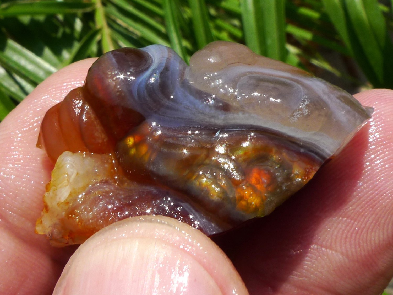 Fire Agate Rough 3pc 864g High Quality Gemstones Slaughter Mountain Az