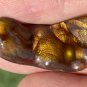 Fire Agate Gemstone Deer Creek Arizona 17.6 Carats 30.2x15.2x4.7mm DCG050