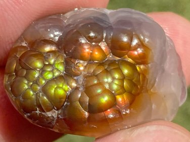 Aguascalientes Fire Agate Natural Gemstone Specimen 51 Carats MXM005