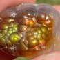 Aguascalientes Fire Agate Natural Gemstone Specimen 51 Carats MXM005