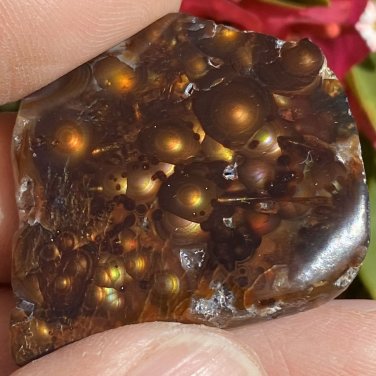 Fire Agate Rough Aguascalientes Mexico Windowed Gemstone 69 Carats MXW025