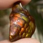 Fire Agate Gemstone Deer Creek Arizona 16.2 Carats DCG059