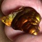 Fire Agate Gemstone Deer Creek Arizona 16.2 Carats DCG059