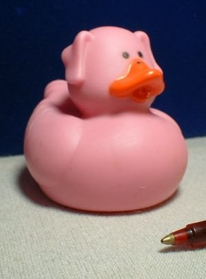 pig rubber duck