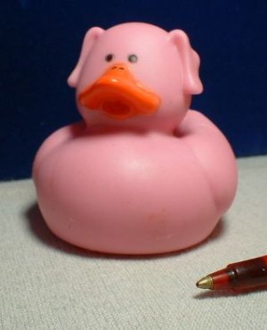 Farm Rubber Ducky - Pig