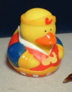 Super Hero Rubber Ducky - Robin