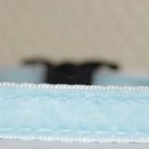 Dakota - Unique handmade breakaway adjustable cat collar - blue velvet cat collar