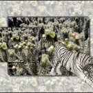 White Tiger Desktop 800 x 600 pixels