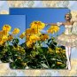 Sun Dance Desktop 1024x768