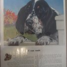 POLK MILLER WWII 2 Army War Vintage Magazine Ad POSTER Gift Unique Retro