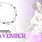 Free Shipping high quality 925Sterling Silver Guarantee100% Double heart love bracelet box B007