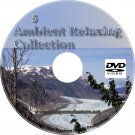DVD Ambient Relaxing Scenic Collection Dentist Lobby Office Video