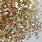 Gold Glitter 7grams