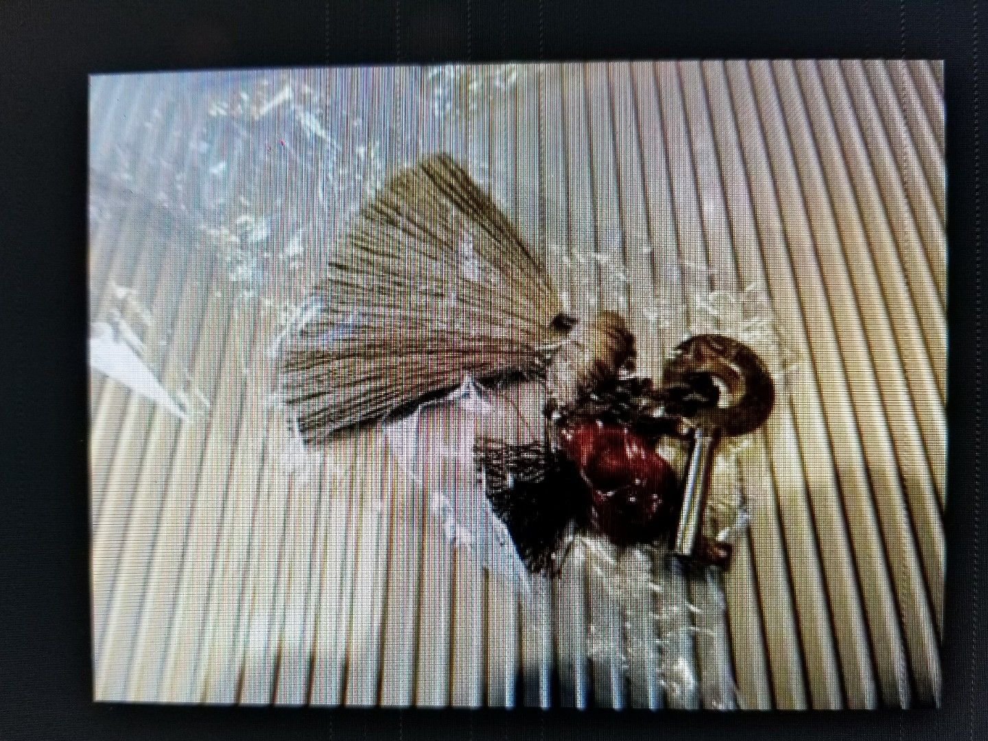 Elie Bleu Gold Plated Humidor Key