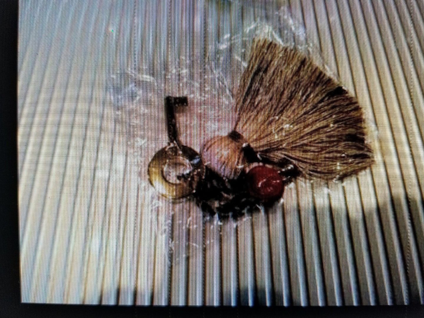 Elie Bleu Gold Plated Humidor Key