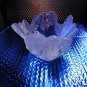 Lalique Crystal Bowl