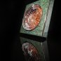 Green Burl Wood Ashtray with Glass insert
