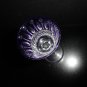Faberge Xenia Cobalt Blue Crystal Cordial Liqueur Glass 6" Tall