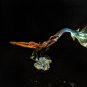 Mark Hopkins Mermaid Bronze Sculpture Measures 15" L x 10" H