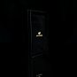 Black Leather & Wood Cigar Carrying Case NIB