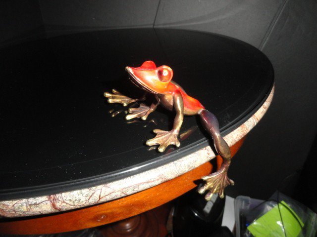 Barry Stein Bronze Frog
