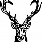 8" VINYL STICKER