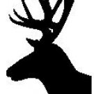 8" VINYL STICKER