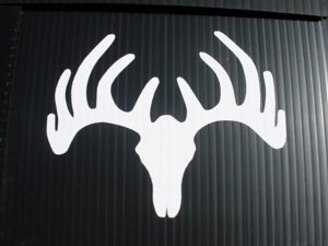 8" VINYL STICKER