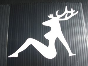 8" VINYL STICKER