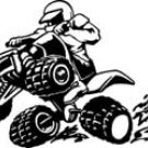 8" VINYL STICKER