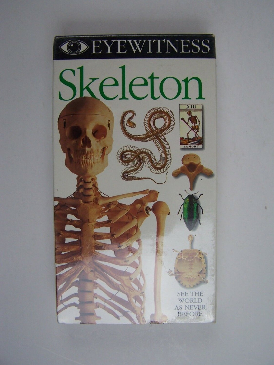 D.K. Eyewitness - Skeleton VHS Video Tape New Sealed