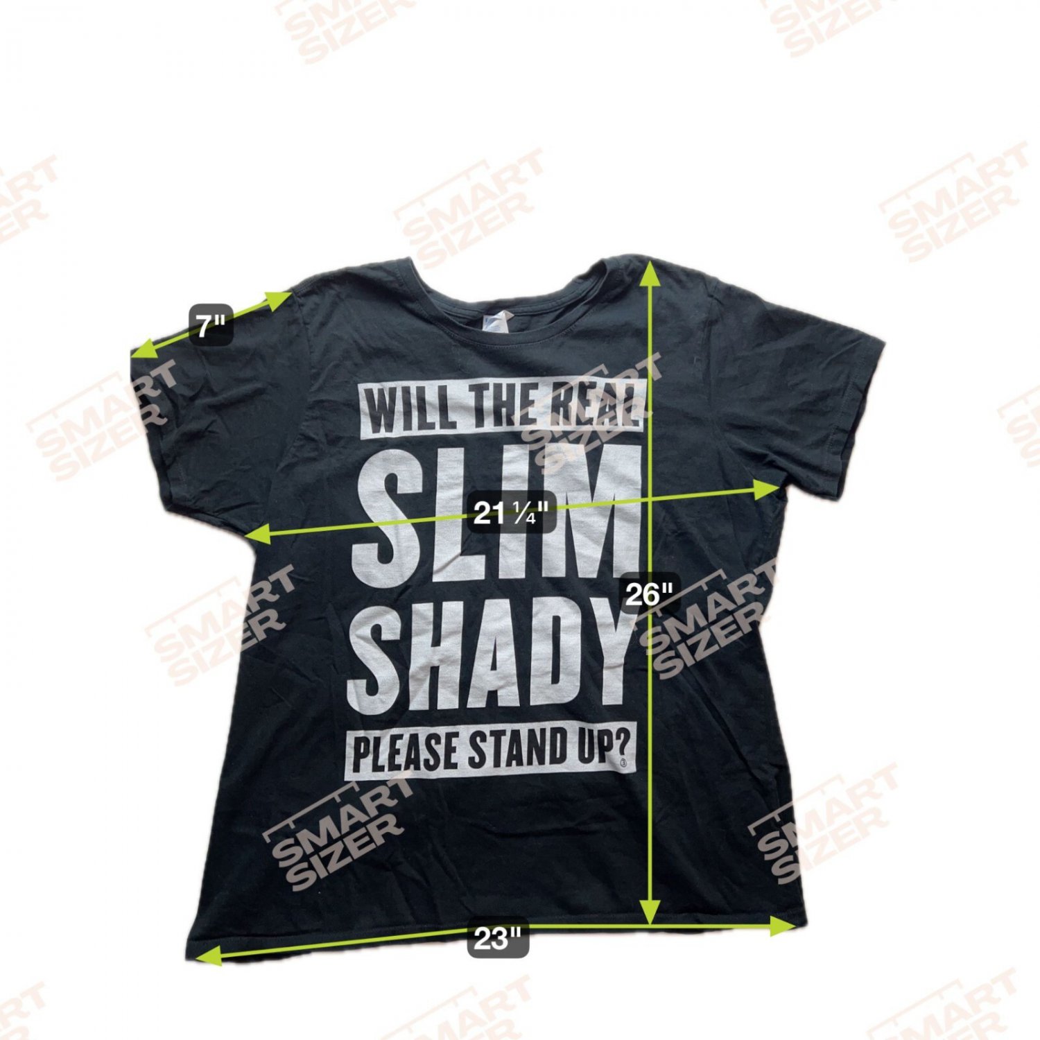 slim shady please stand up