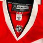 Chicago Blackhawks Patrick Sharp Capt 2010 Stanley Cup Sewn Patch NHL Official