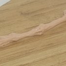 leg bone